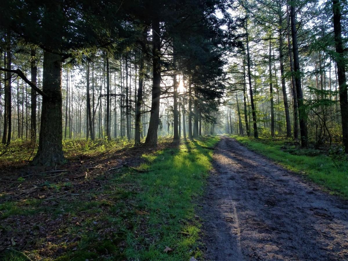 Veluwe Park Reewold Chalet Eclipse Putten Kültér fotó