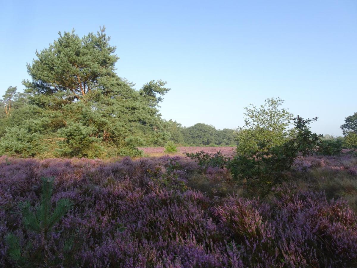 Veluwe Park Reewold Chalet Eclipse Putten Kültér fotó